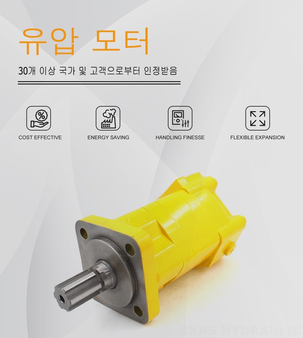 BM5 사이클로이드 유압 모터-2 100 cc/r 75 Lpm 유압 모터